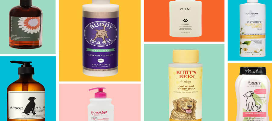 Dog-Friendly Shampoos: What to Look For in the Best Products